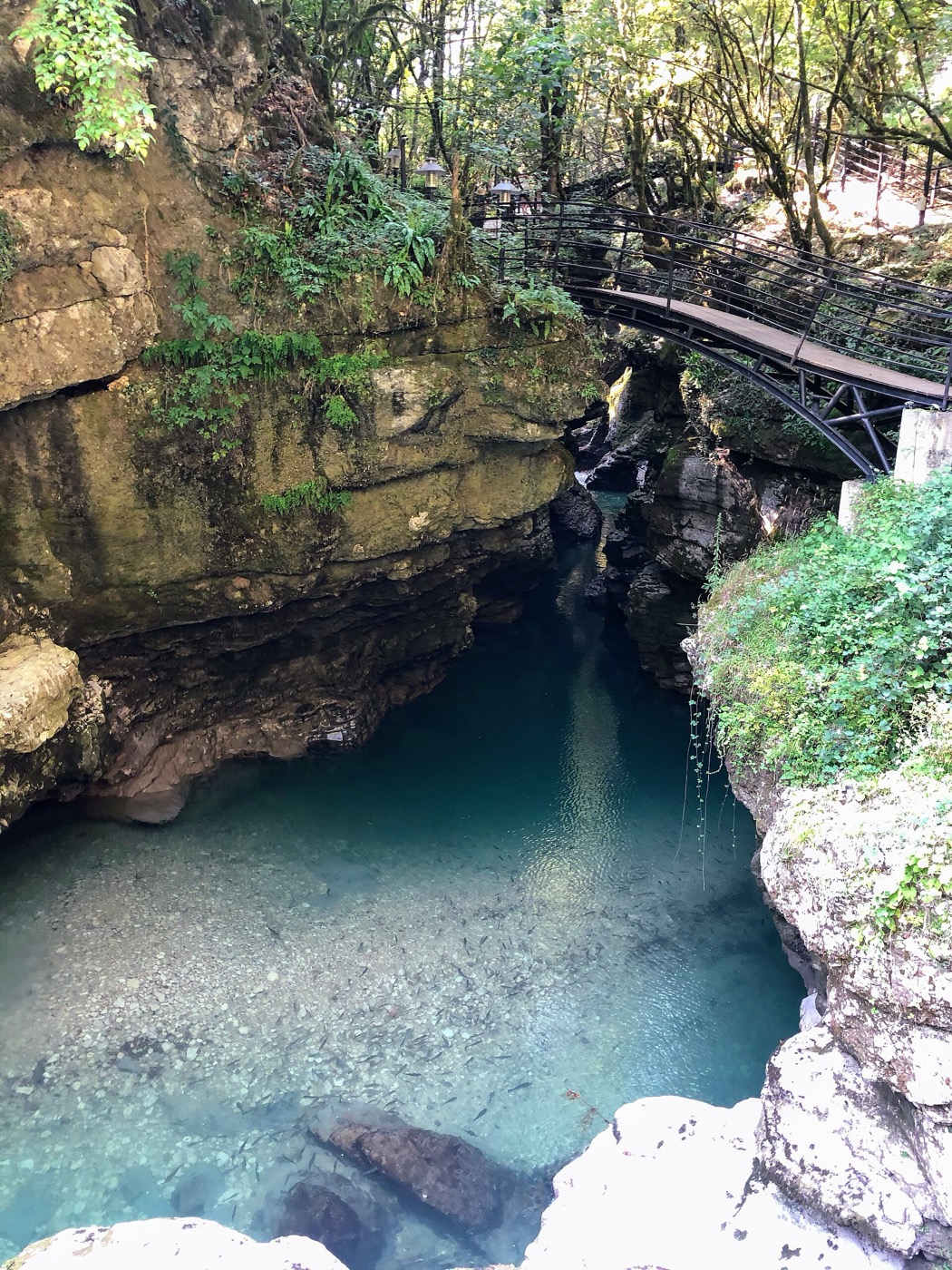 Martvili Canyon s tyrkysovou vodou a zavěšenou lávkou